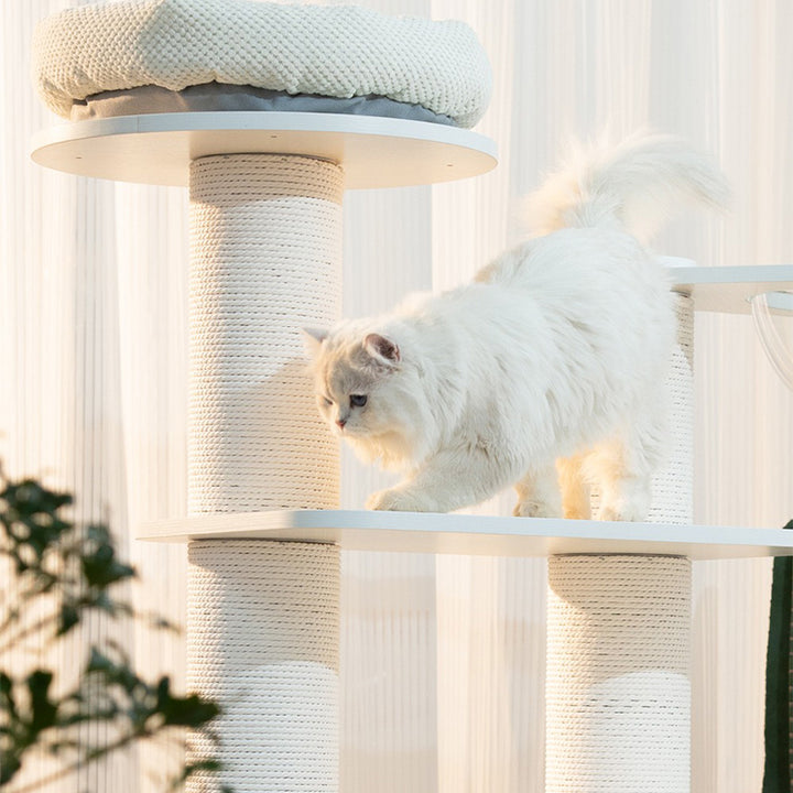 【キャットタワー】 ベルベット Pure Horizon