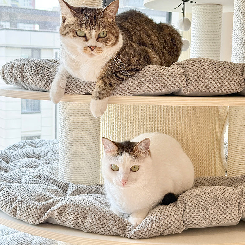 【キャットタワー】開放感  Soothing Elegance