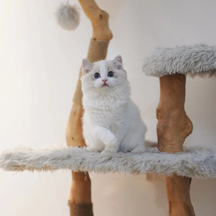 【キャットタワー】無垢材 Natural View