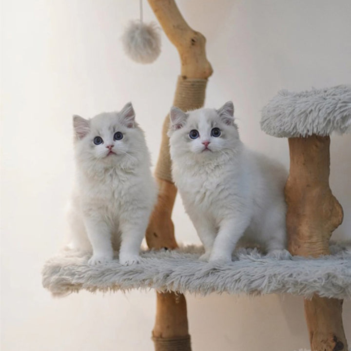 【キャットタワー】無垢材 Natural View