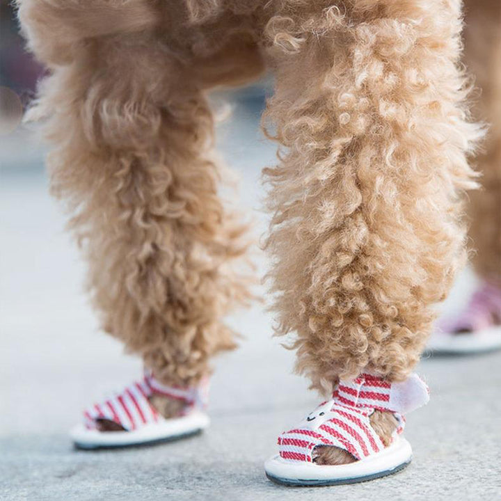 【犬靴】星柄 Summer Starwalk