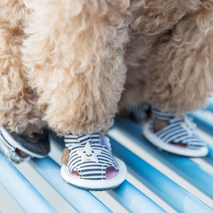 【犬靴】星柄 Summer Starwalk