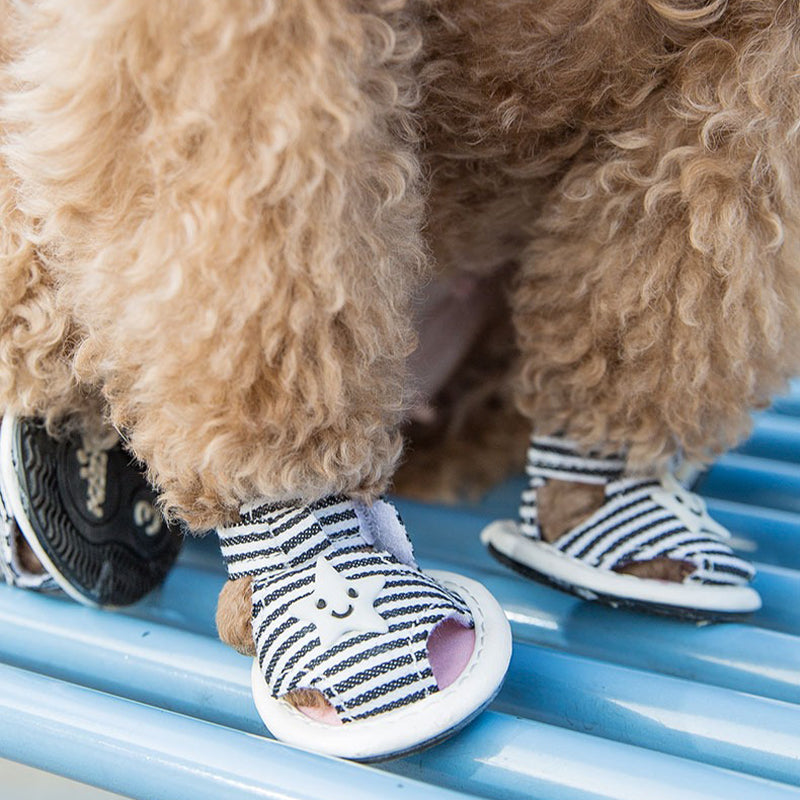【犬靴】星柄 Summer Starwalk