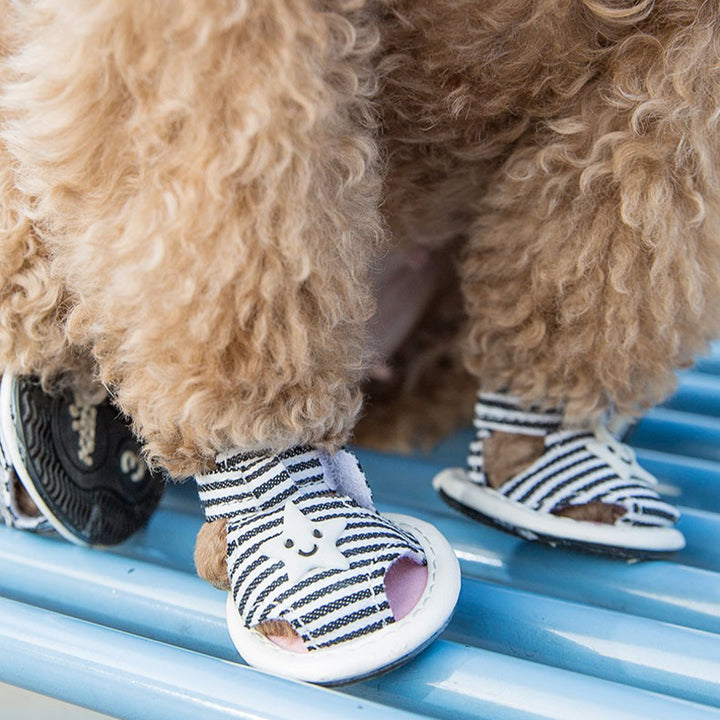 【犬靴】星柄 Summer Starwalk