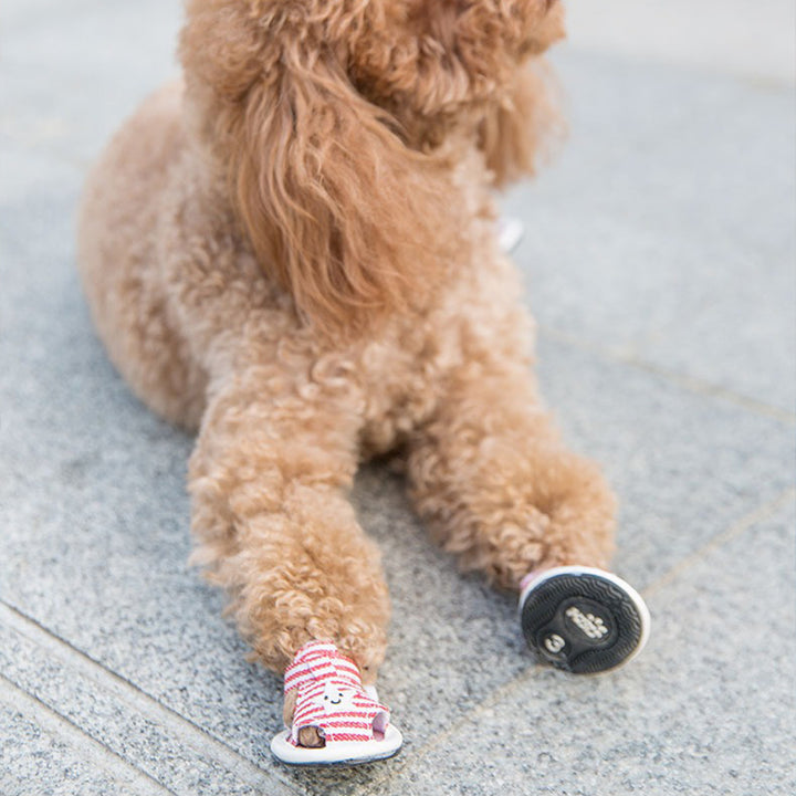 【犬靴】星柄 Summer Starwalk
