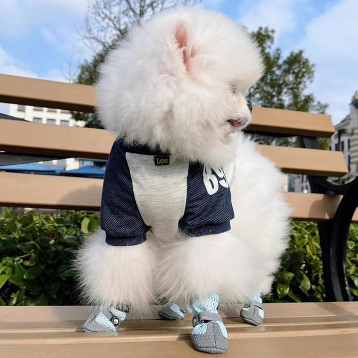 【犬靴】Classic Glam 通気性