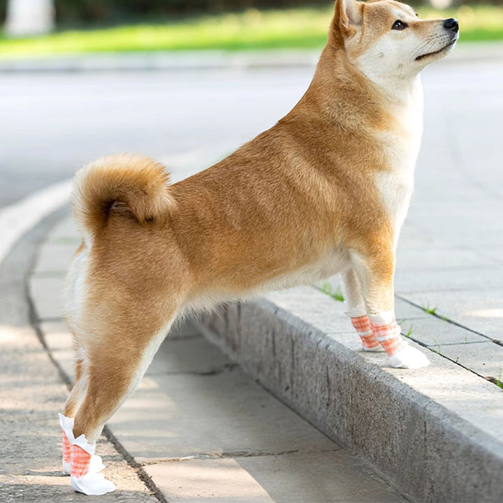 【犬靴】使い捨て Featherlight Utility