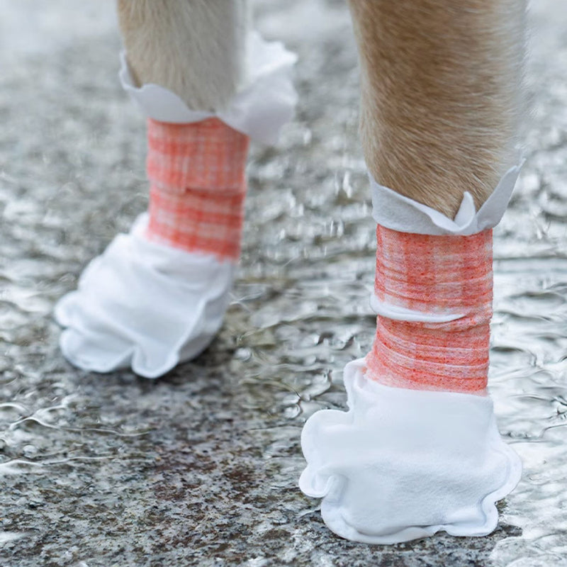 【犬靴】使い捨て Featherlight Utility