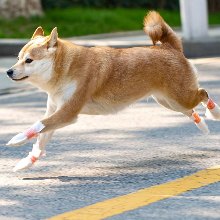 【犬靴】使い捨て Featherlight Utility