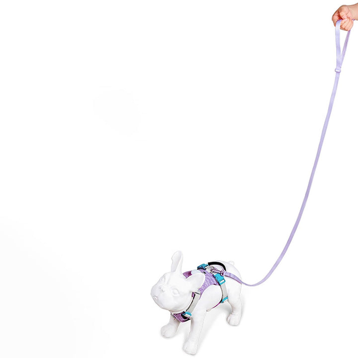 【リード】ABS静音ロックリール Hands-Free Streamlined