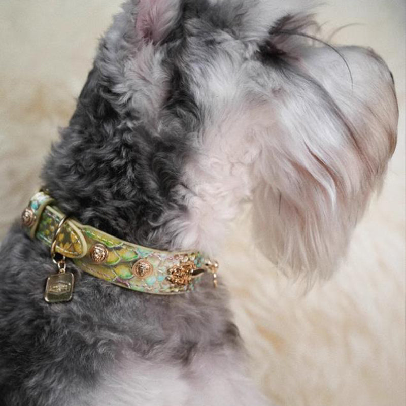 【首輪】本革 Vintage Chic