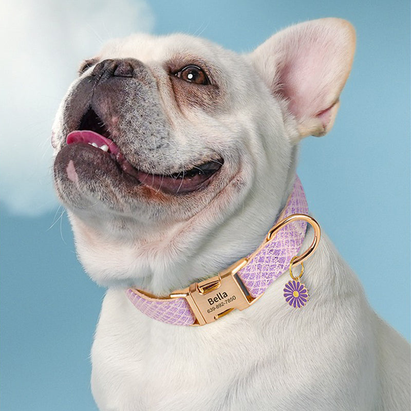 【首輪】メタル装飾付き Royal Charm