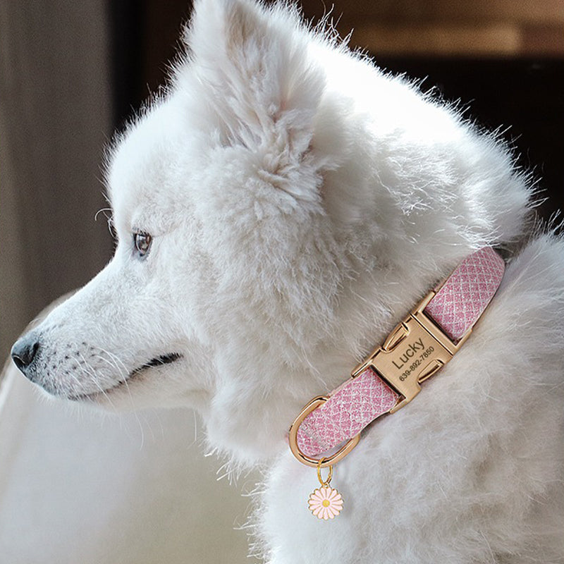 【首輪】メタル装飾付き Royal Charm