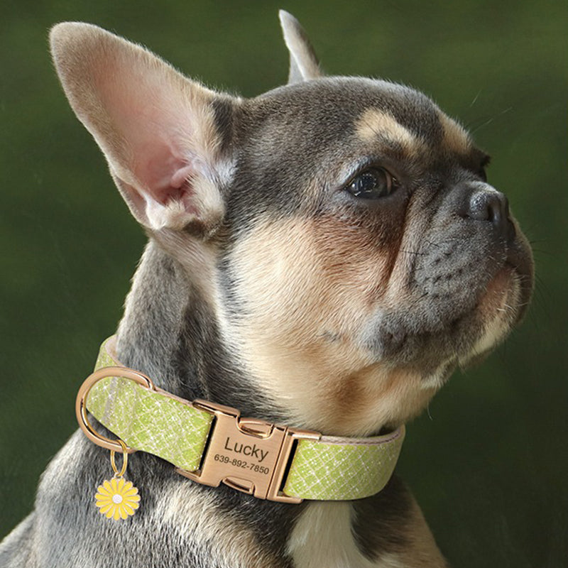 【首輪】メタル装飾付き Royal Charm