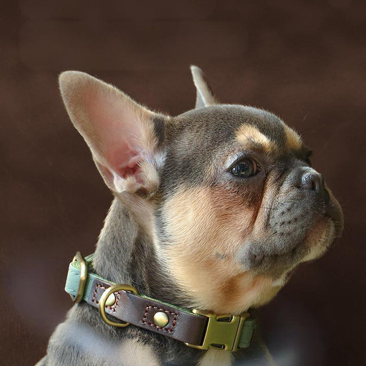 【首輪】マット感 Soft Aura