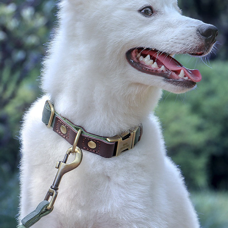 【首輪】マット感 Soft Aura