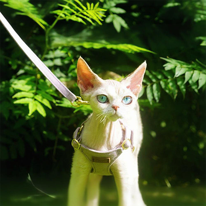 【犬ハーネスセット・ 猫ハーネスセット】軽い Urban Grace Fit
