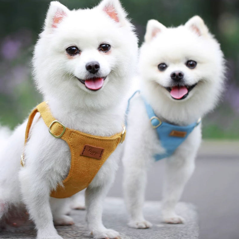 【犬ハーネスセット・ 猫ハーネスセット】軽い Urban Grace Fit