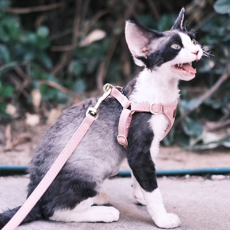 【犬ハーネスセット・ 猫ハーネスセット】軽い Urban Grace Fit