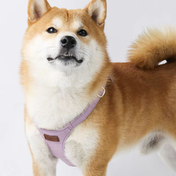 【犬ハーネスセット・ 猫ハーネスセット】軽い Urban Grace Fit