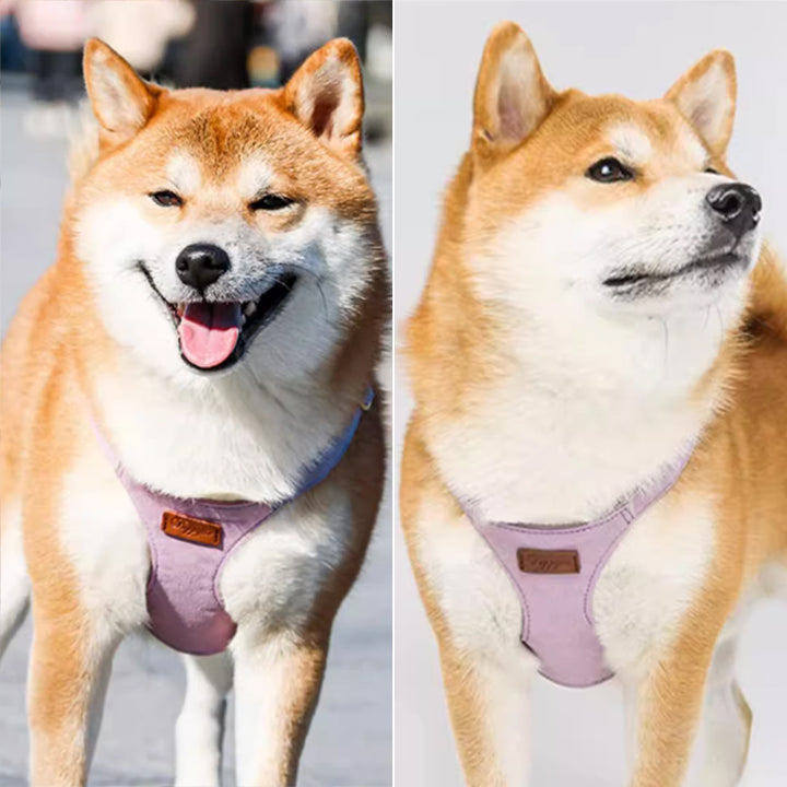 【犬ハーネスセット・ 猫ハーネスセット】軽い Urban Grace Fit