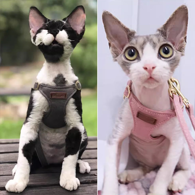 【犬ハーネスセット・ 猫ハーネスセット】軽い Urban Grace Fit
