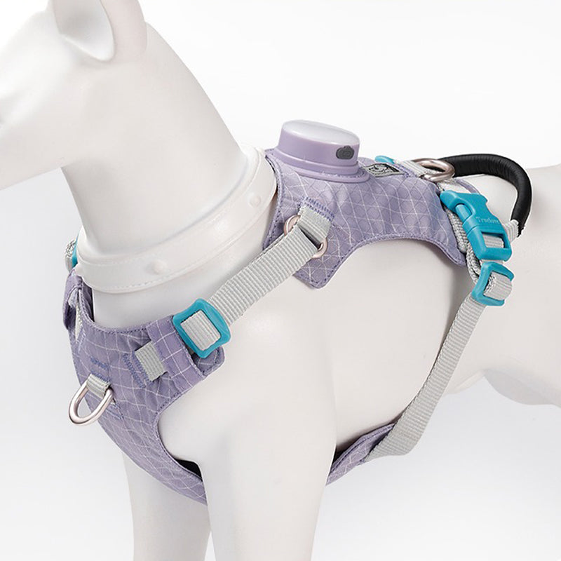 【犬ハーネスセット・ 猫ハーネスセット】LEDライト付き SecureGlow Harness