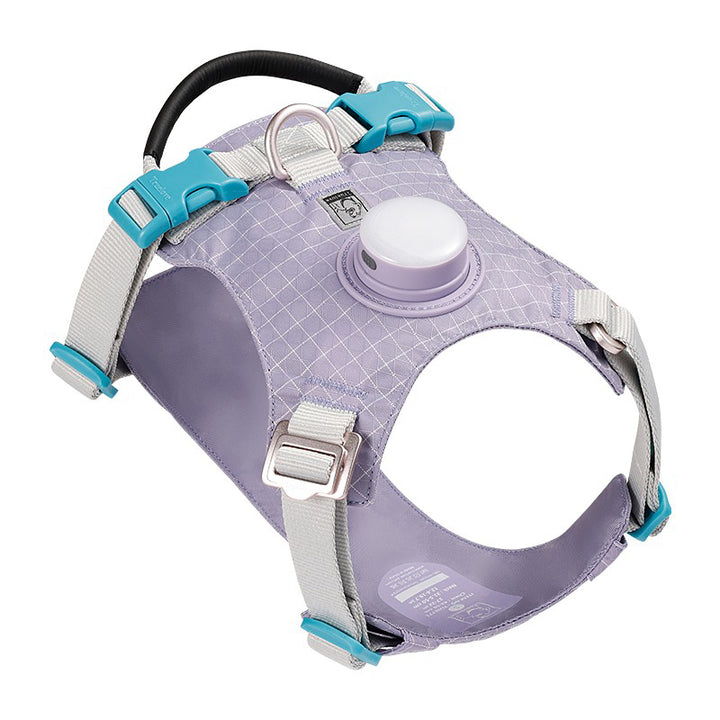 【犬ハーネスセット・ 猫ハーネスセット】LEDライト付き SecureGlow Harness