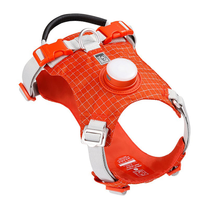 【犬ハーネスセット・ 猫ハーネスセット】LEDライト付き SecureGlow Harness