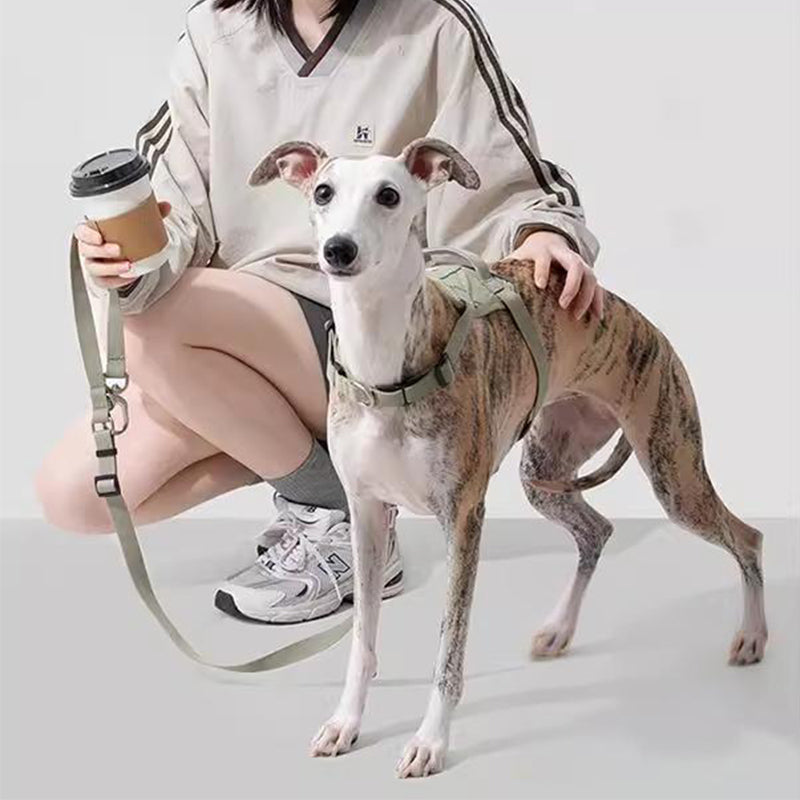 【犬ハーネスセット・ 猫ハーネスセット】おしゃれ Smart Mobility