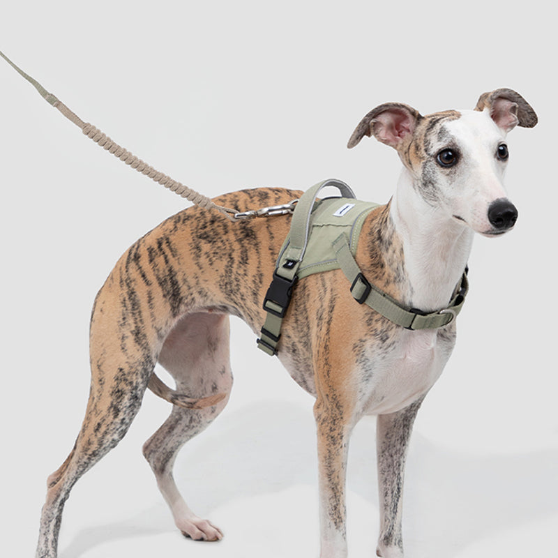 【犬ハーネスセット・ 猫ハーネスセット】おしゃれ Smart Mobility