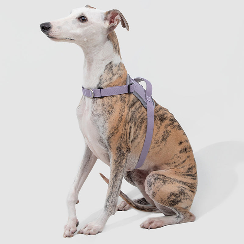 【犬ハーネスセット・ 猫ハーネスセット】おしゃれ Smart Mobility