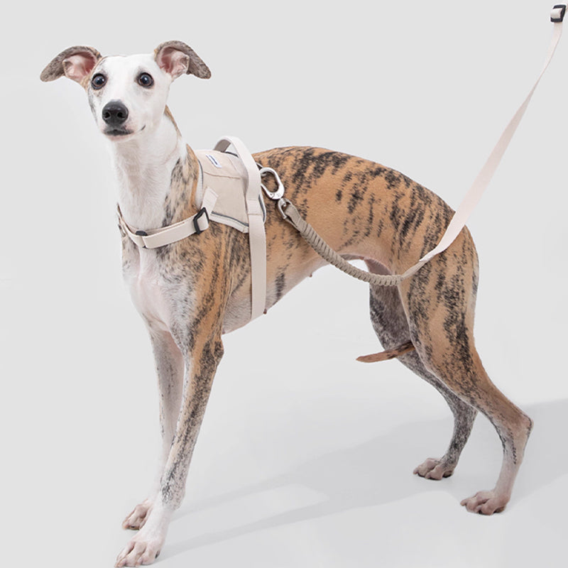【犬ハーネスセット・ 猫ハーネスセット】おしゃれ Smart Mobility