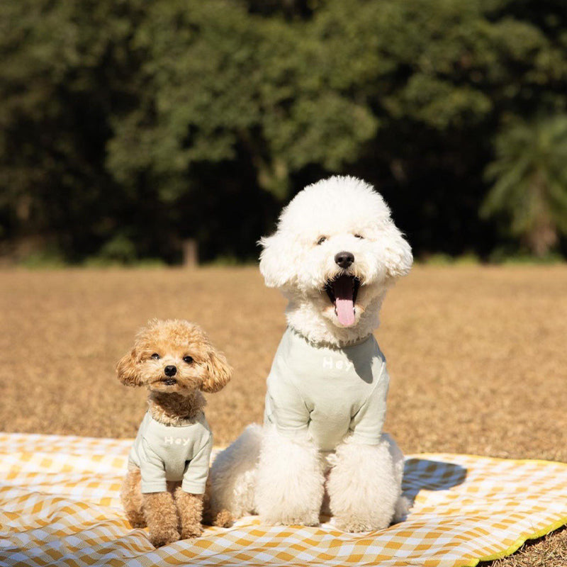 【犬服・猫服】コットン Trendy Comfort