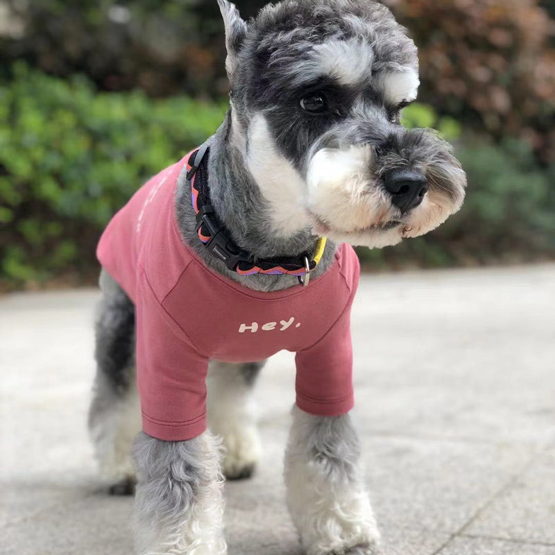 【犬服・猫服】コットン Trendy Comfort