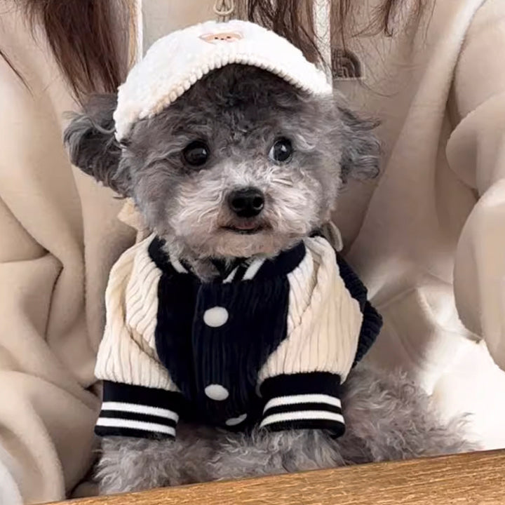 【犬服・ 猫服】 保温性 Chic Style