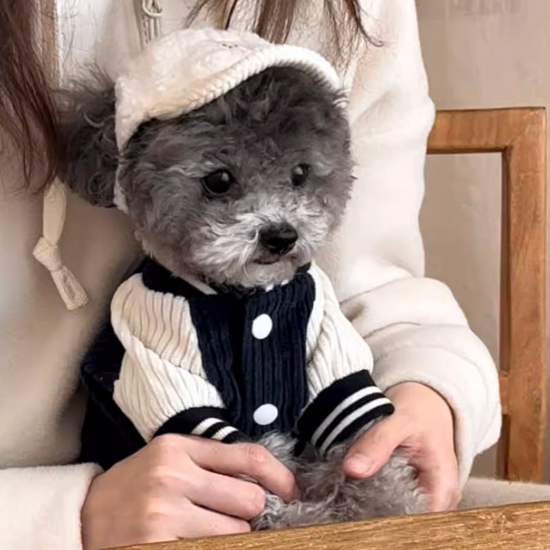 【犬服・ 猫服】 保温性 Chic Style