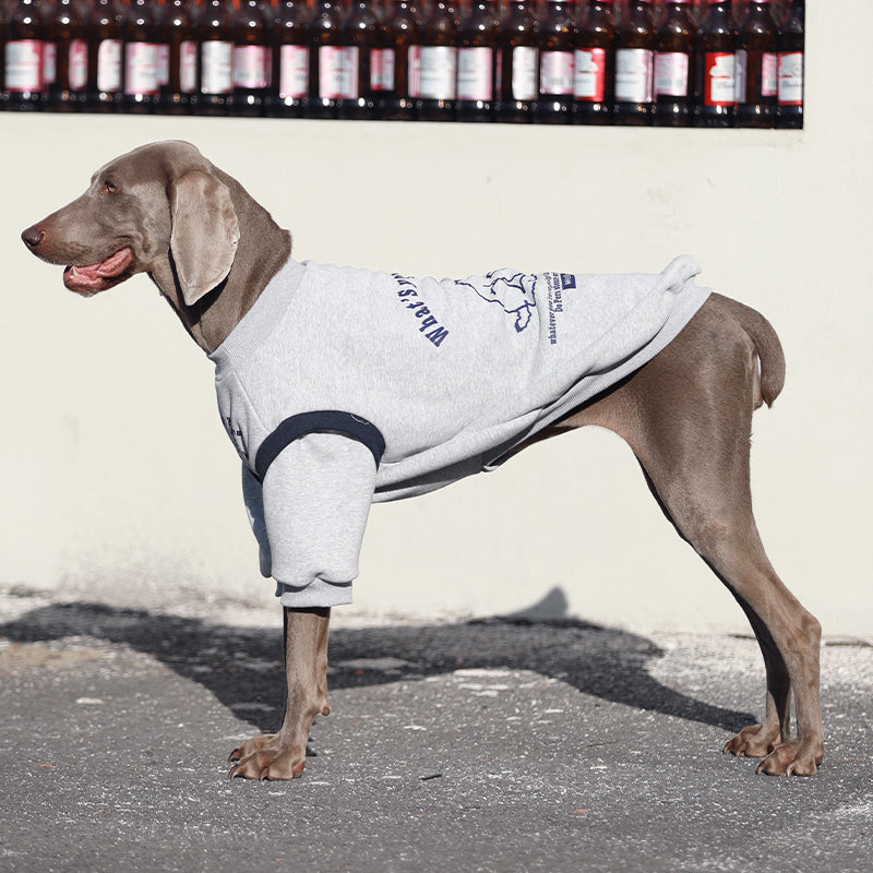 【犬服・猫服】 薄手伸縮 Active Casual