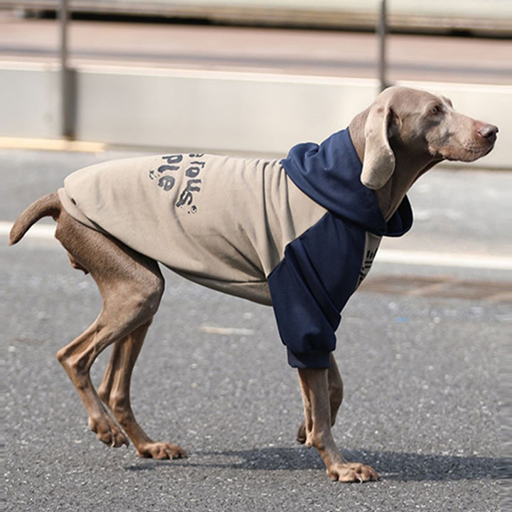 【犬服】 コットン Cozy Chic
