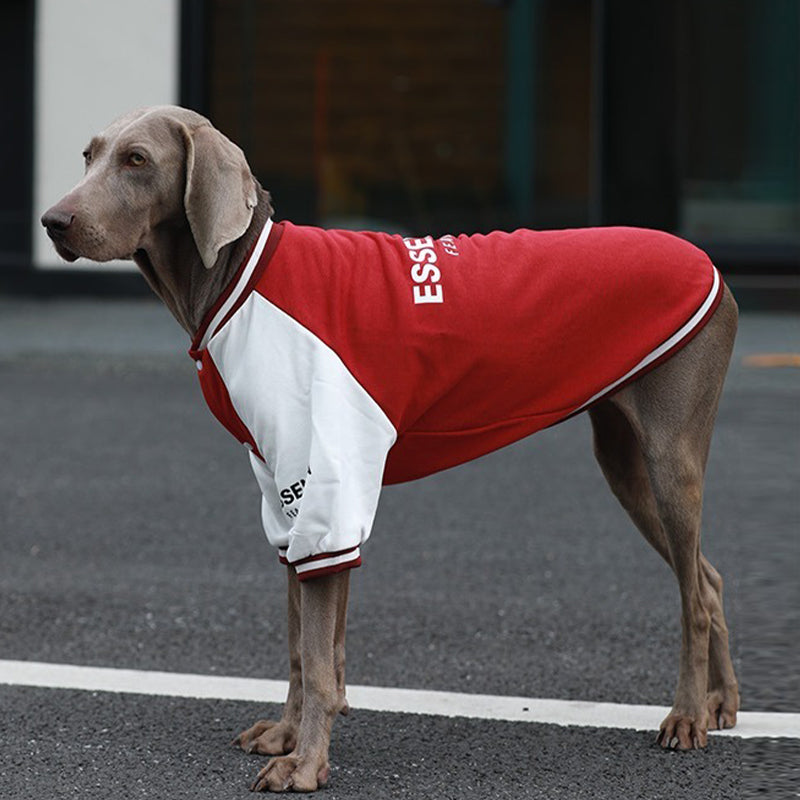 【犬服】コットン Pawsitive Energy